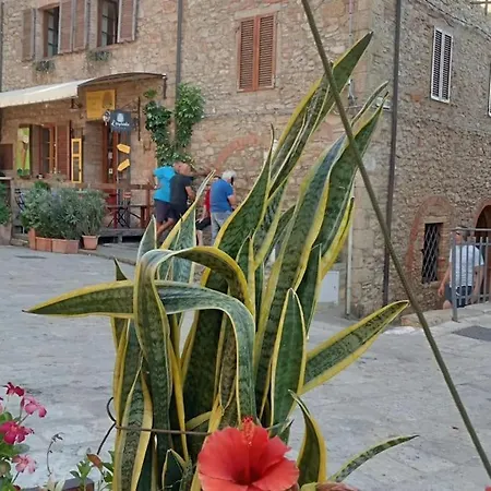 Apartment Casa Amuni' Monolocale A Free Parking Wifi *