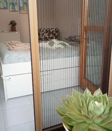 Casa Amuni' Monolocale A Free Parking Wifi Apartment Pisa